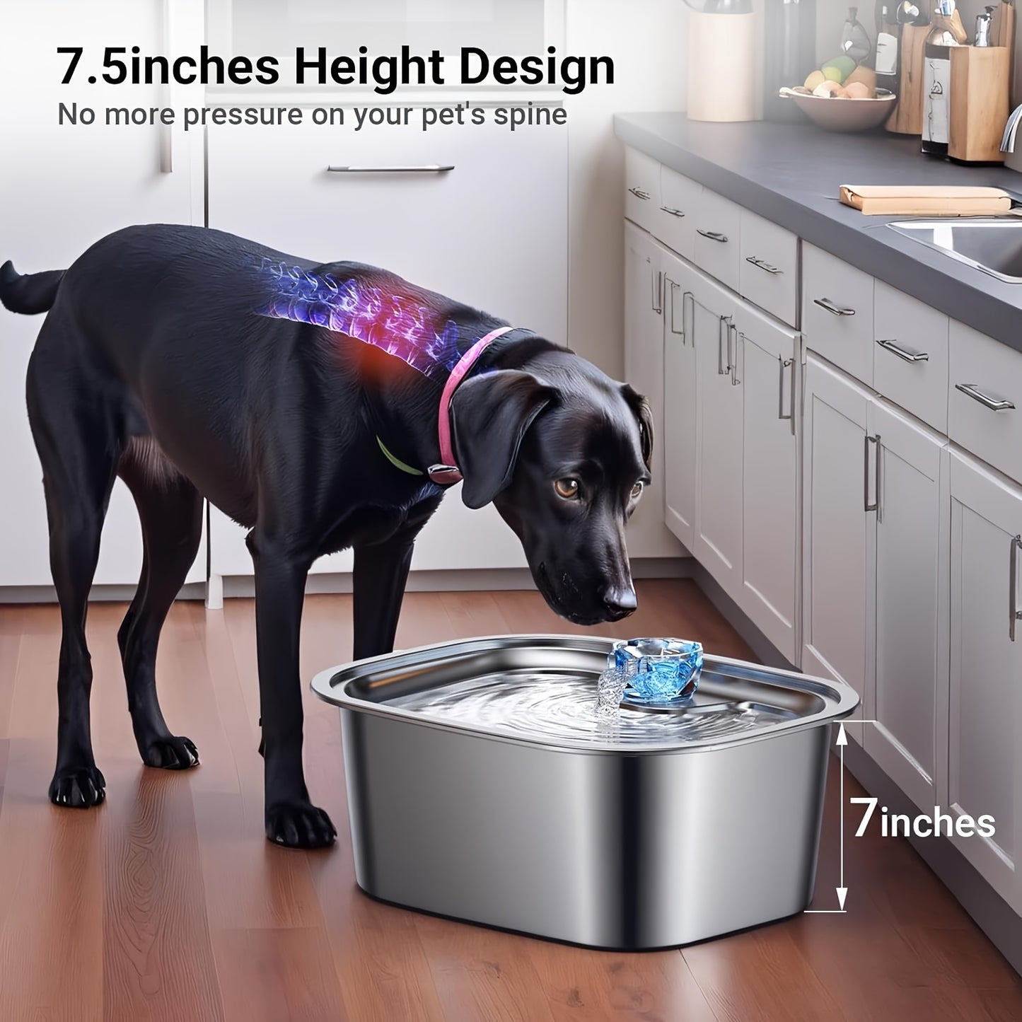 3-Gallon Stainless Steel Dog Water Fountain