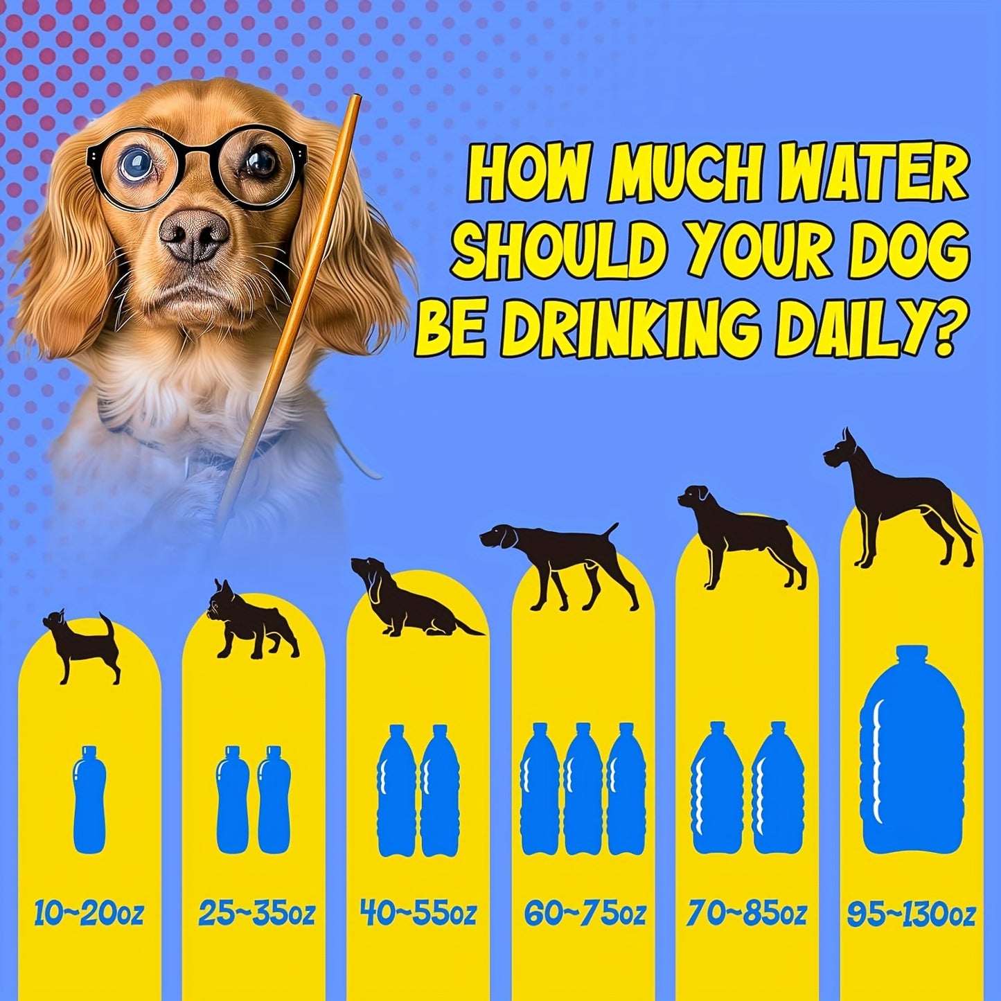 3-Gallon Stainless Steel Dog Water Fountain