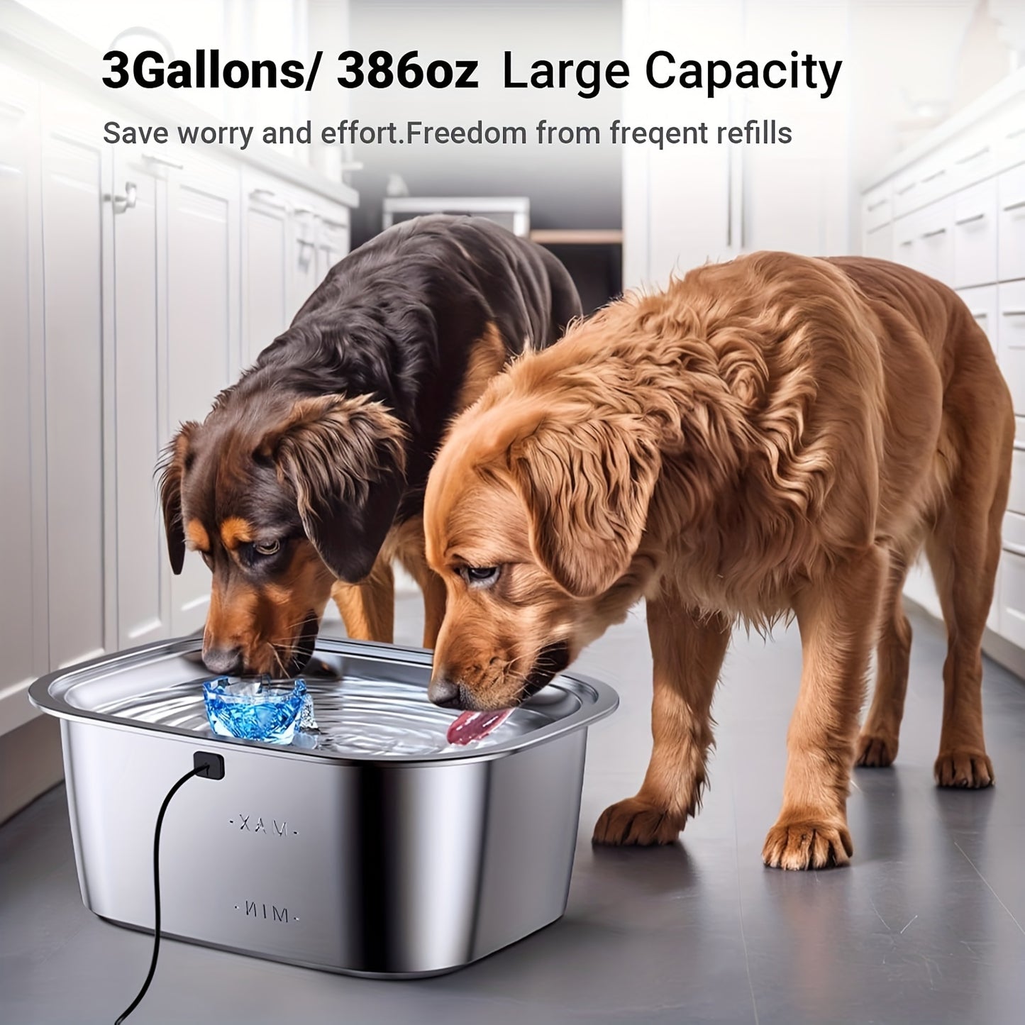 3-Gallon Stainless Steel Dog Water Fountain