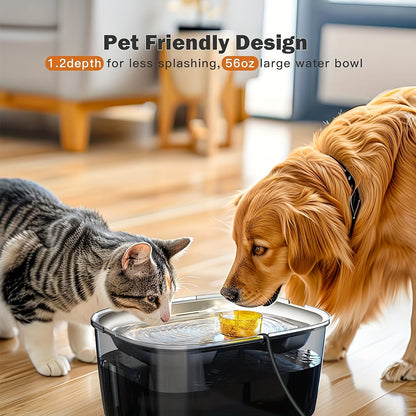 2.6 Gallon Pet Water Fountain