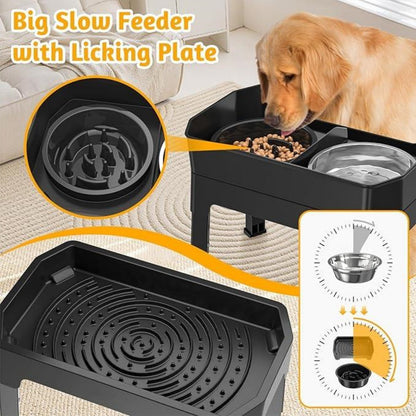 Elevated 5-in-1 Dog Feeding Station