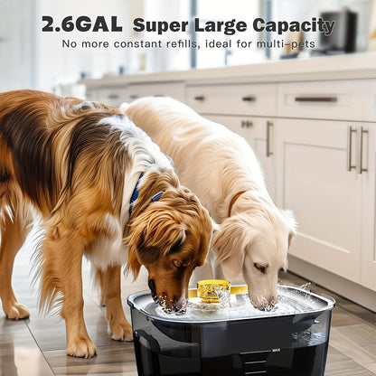 2.6 Gallon Pet Water Fountain