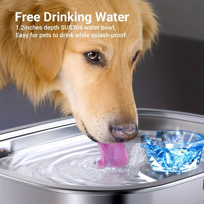 3-Gallon Stainless Steel Dog Water Fountain