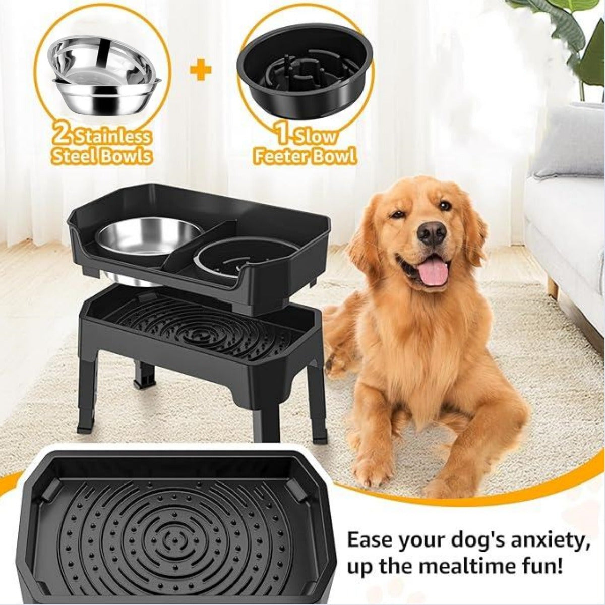 Elevated 5-in-1 Dog Feeding Station