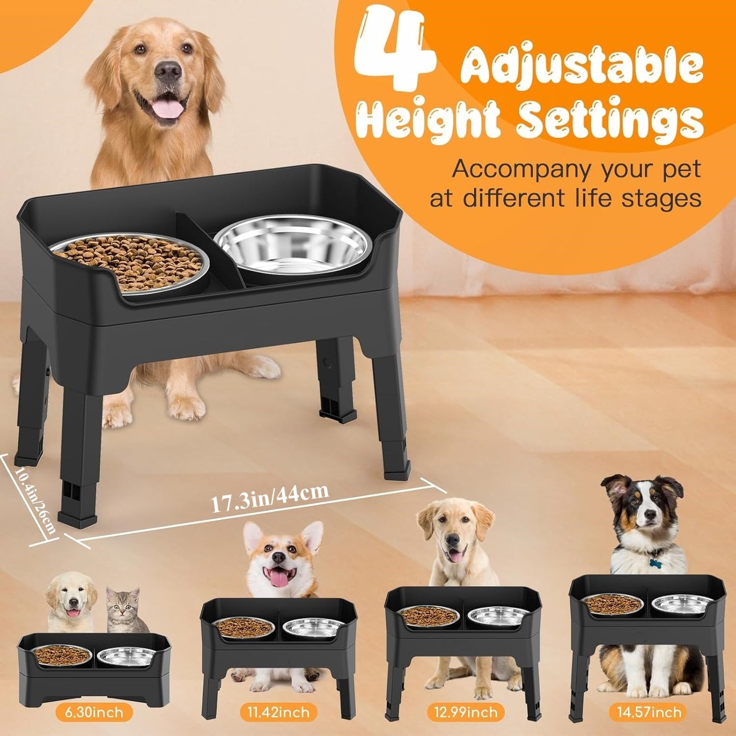 Elevated 5-in-1 Dog Feeding Station