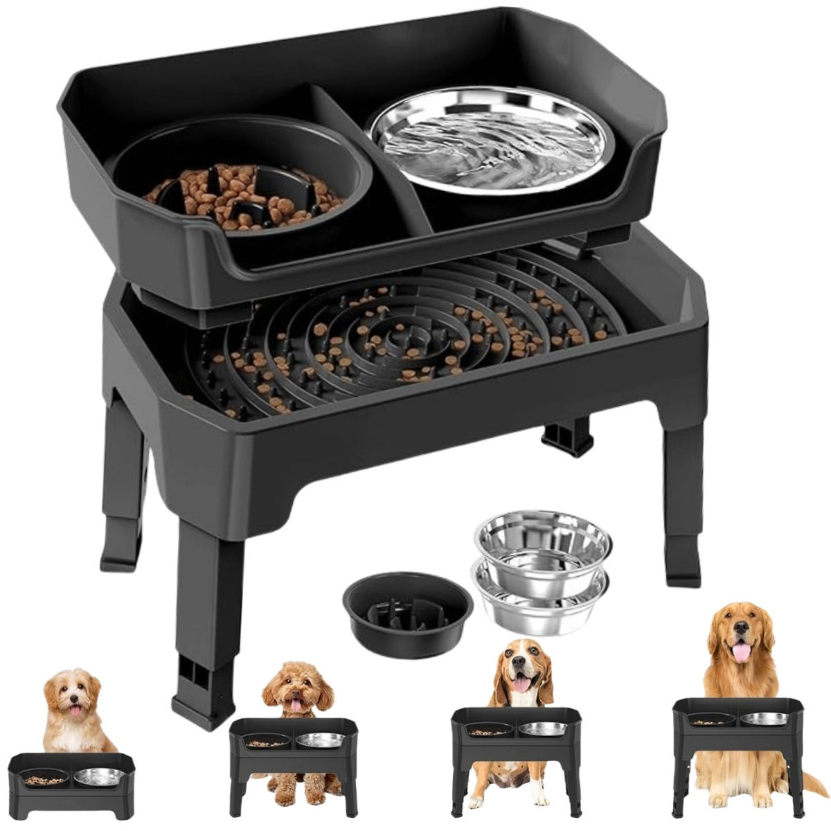 Elevated 5-in-1 Dog Feeding Station