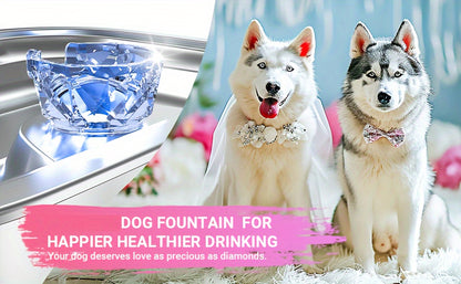 3-Gallon Stainless Steel Dog Water Fountain